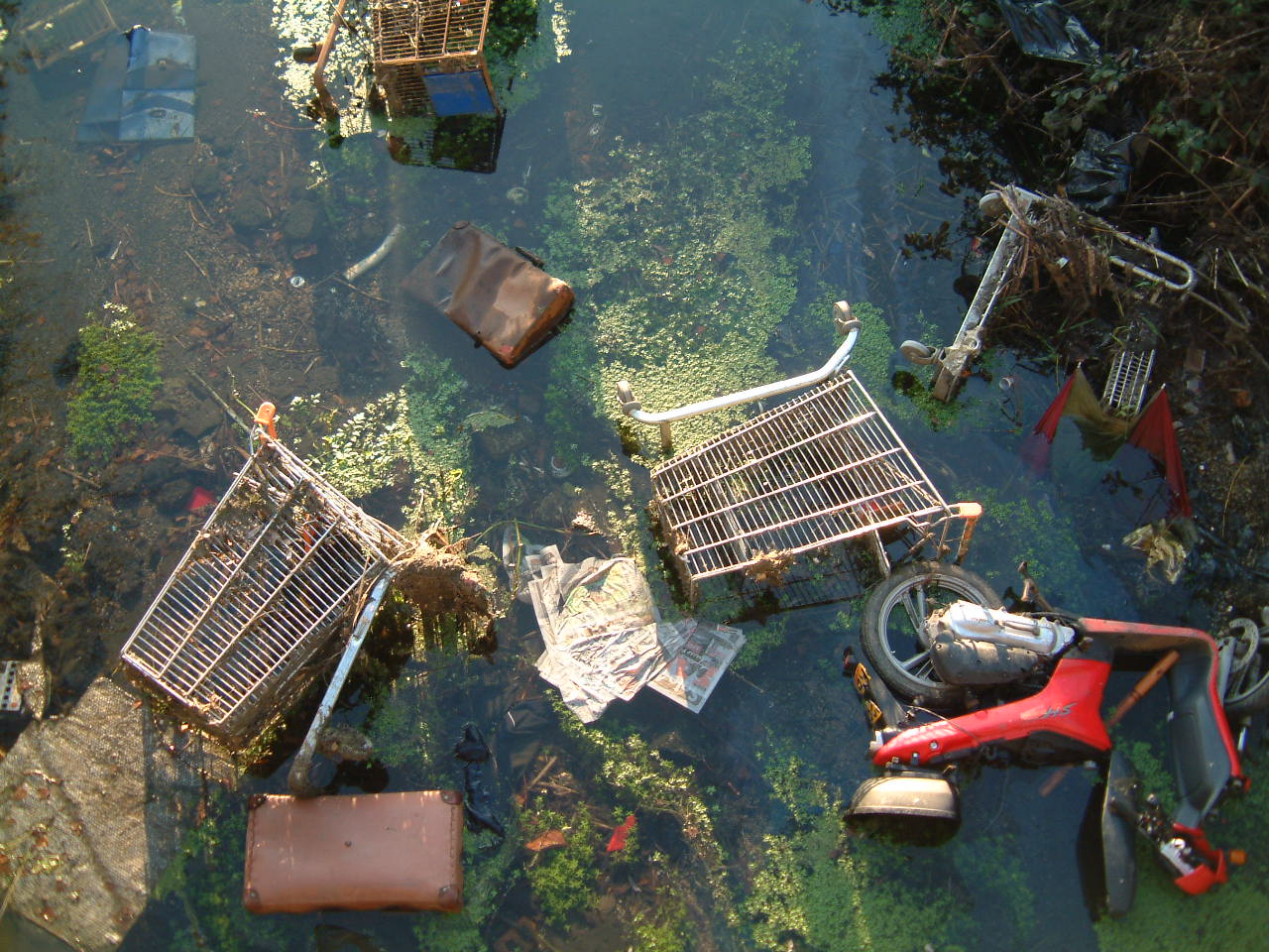 waterway cleaning