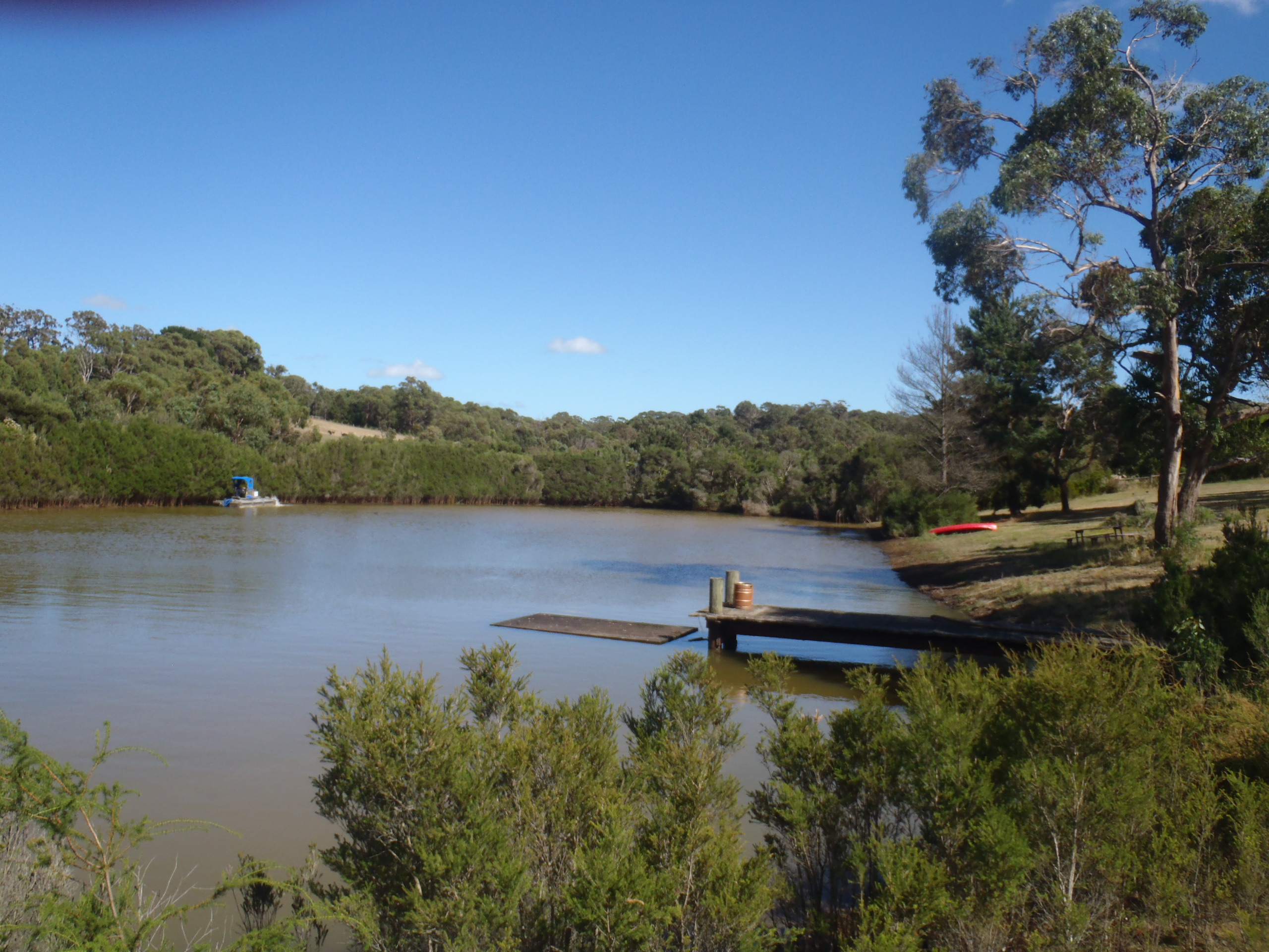 aquatic weed harvesting