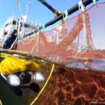 AQUA_SKAUGE1-33-600-450-80